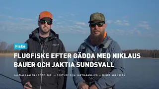 Flugfiske efter gädda med Niklaus Bauer och jaktia Sundsvall