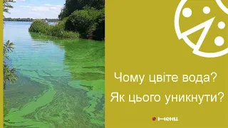 «Цвітіння» води - екологічна проблема України.