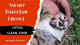 Bobcat Catch, Clean, & Cook