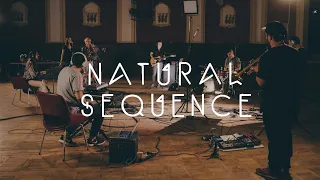 Natural Sequence - Dark Fades / Waves Live Session (Fairlane acoustic)