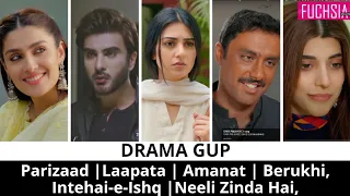 Drama Gup| Parizaad | Laapata | Amanat | Berukhi | Neeli Zinda Hai | Instehai-e-Ishq