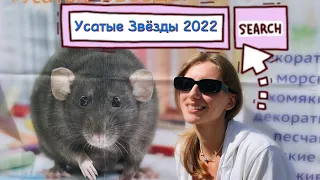 Выставка Усатые Звёзды 2022