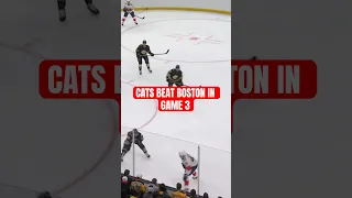 all 6 cats goals from our game 3 dub over bost  😼 #nhl