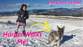 I Let My Dog Walk Me For A Day / Hey Guy It's Emma