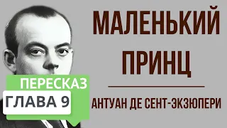 Маленький принц. 9 глава. Краткое содержание