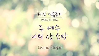 [1시간 연속듣기] 주 예수 나의 산 소망 피아노 CCM 연주/Living Hope Piano Instrumental (영어가사/lyrics)