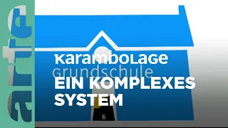 Die Unterschiede zwischen dem deutschen und dem französischen Schulsystem | Karambolage | ARTE