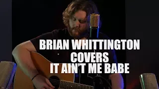 Brian Whittington Covers: It Ain't Me Babe - Bob Dylan