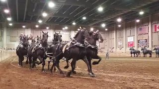 Eight Horse Horse Hitch, Michigan Great Lakes International Draft Horse Show, 2023