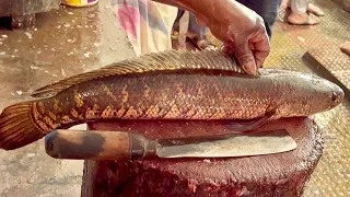 Giant Sola Fish Cutting Skills Live In Bangladesh | Amazing Fish Cutting Skills