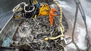 Commercial salmon fishing in Crawfish Inlet, Alaska.