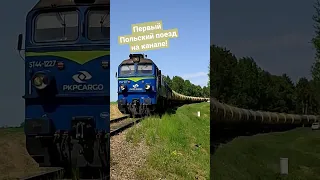 Польский PKP ST44 на перегоне Моцкава-Тракишки