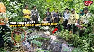 A farmer in Indonesia was again found in the stomach of a python in a rubber plantation...