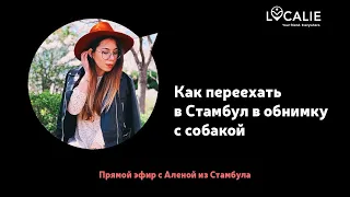 Как выйти из долгих отношений и переехать в Стамбул в обнимку с собакой