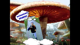 СОБИРАЕМ ГРИБЫ ! ЗАБАВНОЕ видео для ДЕТЕЙ 😎🍄😂👍