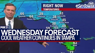 Tampa weather | quiet, cool conditions persist on March 20, 2024