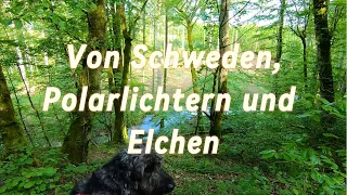 Von Schweden, Polarlichtern und Elchen - 05/24