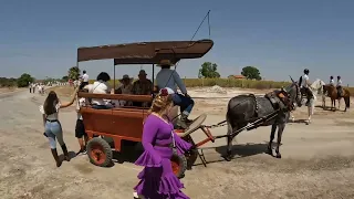 💃 Romería en el Cuervo de Sevilla 🏇