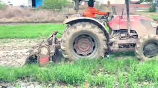 máy cày, xe máy cày, may cay, máy cày ruộng kubota tractor 2