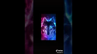 cool wolf wallpaper 😎😎