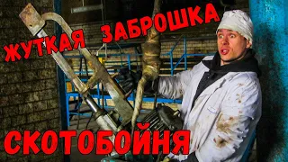 🐃 Жуткая заброшка.  Скотобойни Розенау. Калининградский мясокомбинат