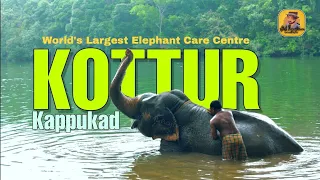 Kottoor Kappukadu Elephant Rehabilitation Centre | Neyyar Dam | Places to visit in Trivandrum