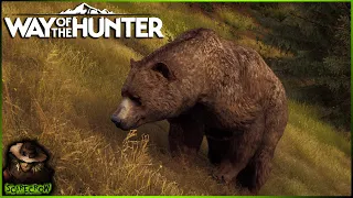 The New Brown Bear Look So Good! We Hunt Them With The .338 In Way Of The Hunter