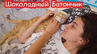 VLOG Настя и Катя дарят подарки с Доминиканы