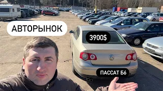 САМЫЙ БОЛЬШОЙ АВТОРЫНОК Беларуси!😱ТЫСЯЧИ АВТОМОБИЛЕЙ 2024