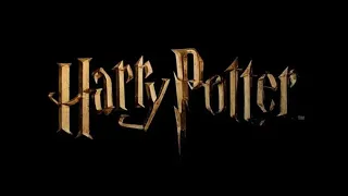 Harry Potter Theme (1 hour)