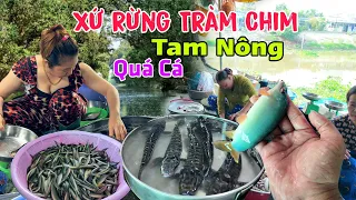 Quá trời nhiều Cá Xứ rừng TRÀM CHIM chợ Tam Nông - Du lịch vắng tanh khách đi