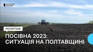 Посівна 2023: яка ситуація на Полтавщині