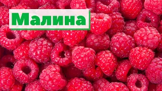 Малина | Как это сделано | Raspberry