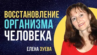 Уникальная технология восстановления и омоложения организма человека. Елена Зуева.