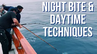 Night Bite Tips, When to Use Sinker Rig, Flyline, or Colt Snipers for the daytime