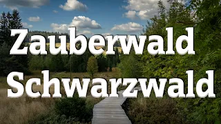 Zauberwald Bernau im Schwarzwald I Mysteriöse Orte Teil 24