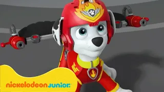 PAW Patrol | La Pat' Patrouille sauvetage d'un dragon et de dinosaures ! | Nickelodeon Jr. France