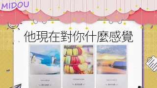 TA現在對你什麽感覺？ta的内心想法？ta期待怎樣髮展？很想對你説？（含字卡）不限關系|曖昧|愛情|感情|桃花|塔羅占卜