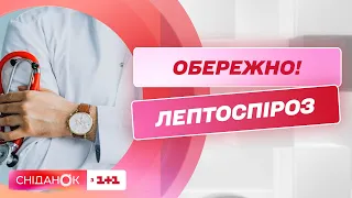 Чим небезпечний лептоспіроз і як від нього вберегтись