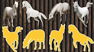 CUTE ANIMALS White Horse Puzzle (Choose The Right Horse Puzzle) #horse #puzzle