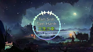 海来阿木 - 三生三幸 (DJ小拳权版) Tam Sinh Tam Hạnh Dj Remix ( Hải Lai A Mộc ) || Hot Douyin / TikTok .