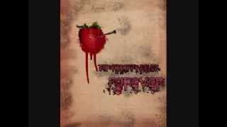 Strawberry Fields Forever RARE- Noel Gallagher