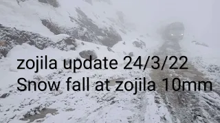 zojila update 24/3/22