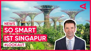 Smart City Singapur: Stadtstaat zwischen Innovation und Nachhaltigkeit | LOOKAUT