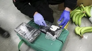 В Польше задержана партия кокаина весом 180 кг
