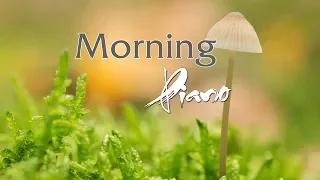 Morning Relaxing Music - Positive Piano Music for Stress Relief -Soft Piano Music With Birds Singing