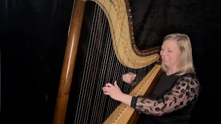 Can’t Help Falling in Love Harp Solo Instrumental Cover