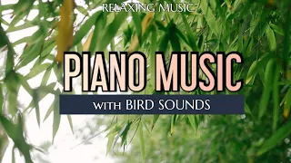 Escape to Nature with Soothing Piano Music and Calming Bird Sounds| #relaxingmusic #naturesounds