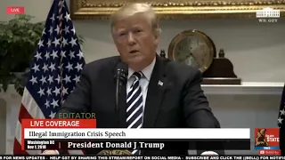 Donald tramp bitch lasagna