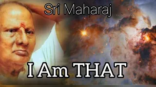 I AM THAT - Pt. 2 - by Nisargadatta Maharaj - Metameza Ushi